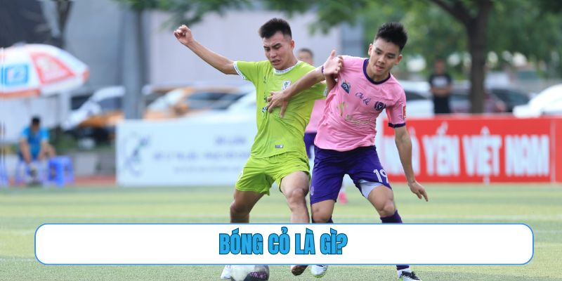 bóng cỏ là gì