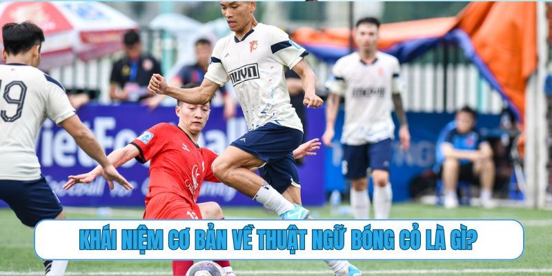 Khái niệm cơ bản về thuật ngữ bóng cỏ là gì?