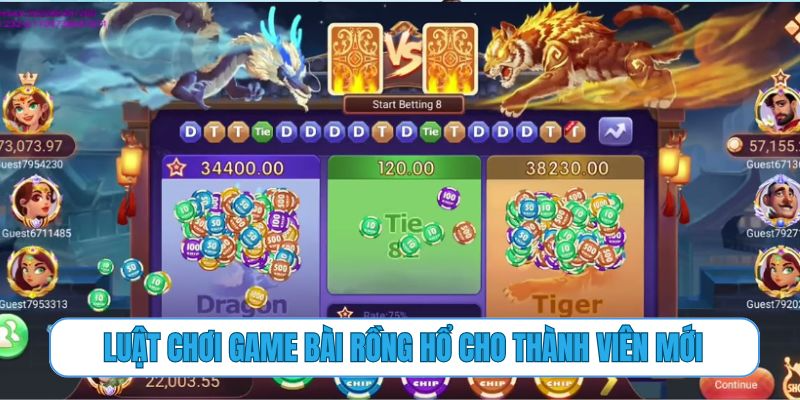 Luật chơi game bài rồng hổ cho thành viên mới