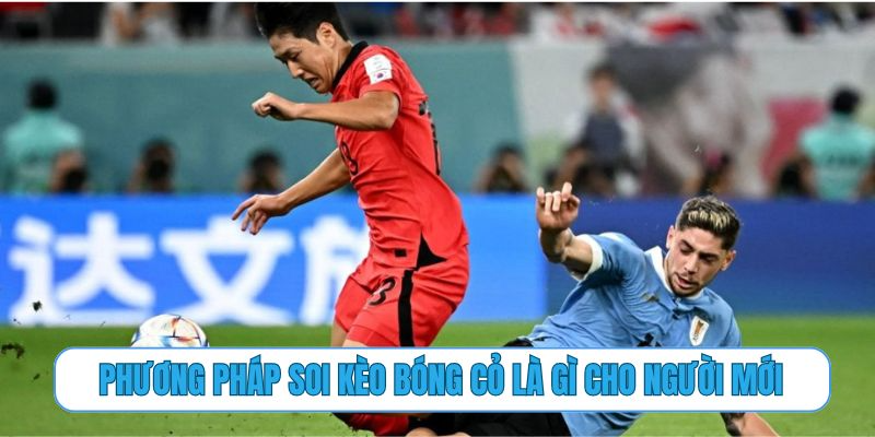 Phương pháp soi kèo bóng cỏ là gì cho người mới