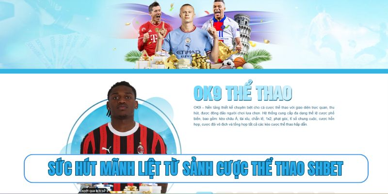 Sức hút mãnh liệt từ sảnh cược thể thao SHBET