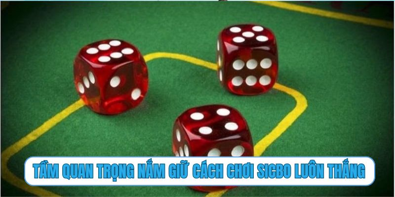 Tầm quan trọng nắm giữ cách chơi Sicbo luôn thắng